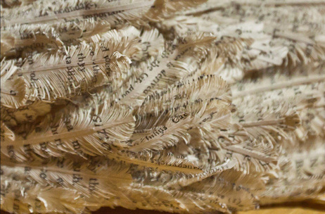 Feathers created out of book paper