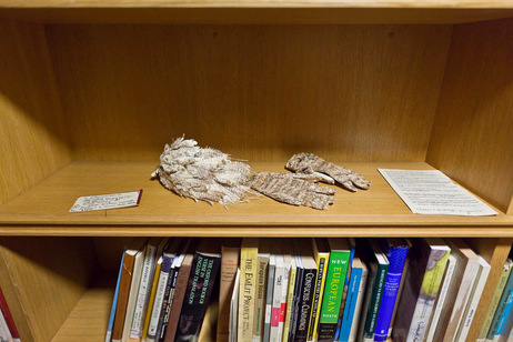 A cap and gloves left behind by the unnamed paper sculptor