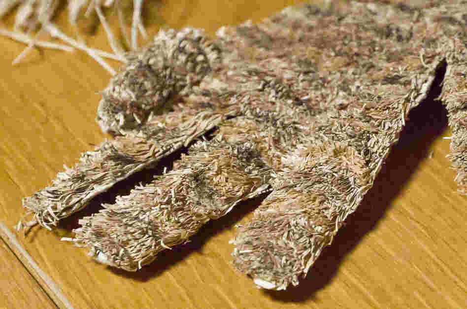That paper glove is one of the three objects left behind by the unnamed paper sculptor.