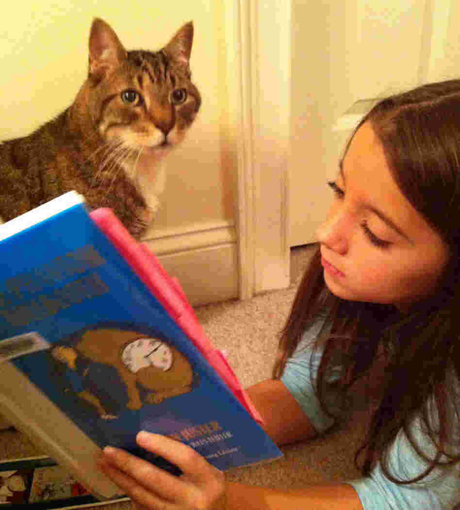 Chilis the cat keeps Isabella Farr, 8, company while she reads.