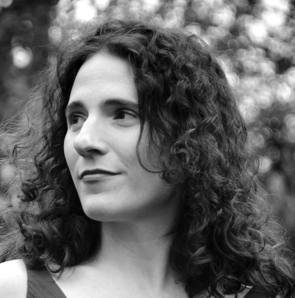 Anne Ursu is also the author of the Cronus Chronicles trilogy which includes The Shadow Thieves, The Siren Song and The Immortal Fire.