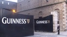 Welcome to Guinness, where the hallowed beer flows freely. Welcome to Guinness, where the hallowed beer flows freely.
