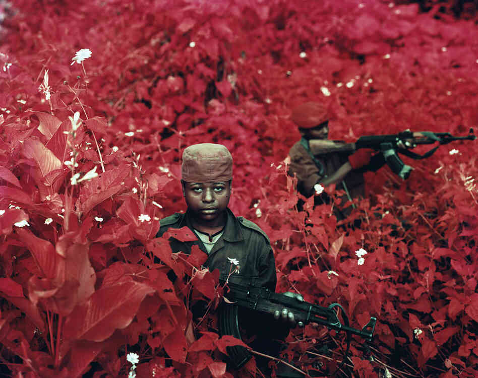 Vintage Violence, 2011Rebels in the foliage of North Kivu