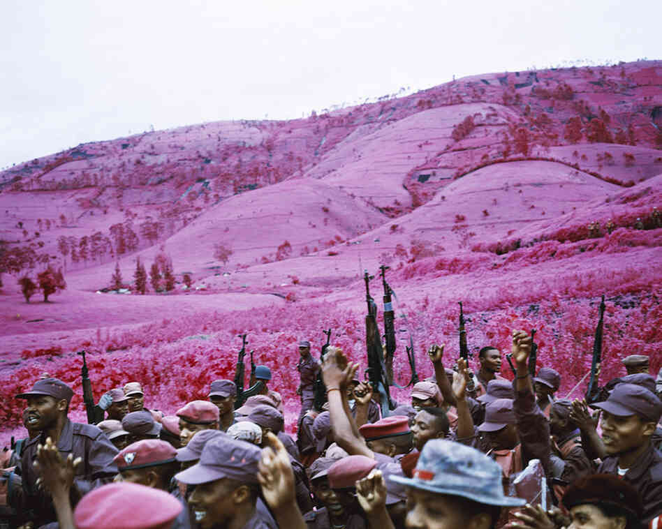La Vie En Rose, 2010Rebels celebrate as they are integrated into Congo's national army in the eastern part of the country. This rebel group had already been integrated into the army once before, but then defected because they weren't being paid.