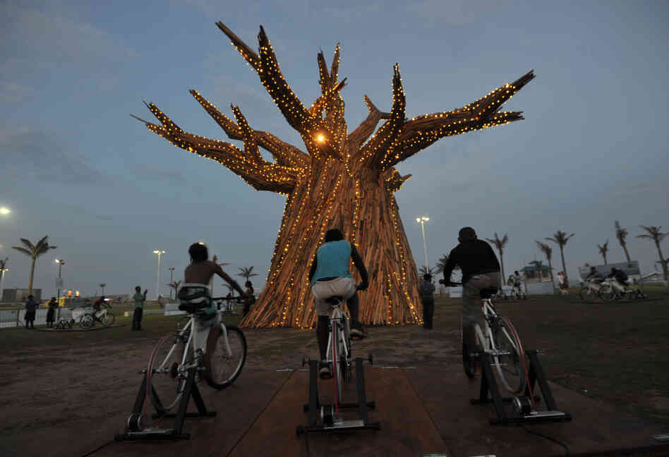 South Africans light up a Baobab tree by riding bikes in Durban as part of a renewable energies display on the beach front during the United Nations Climate Change Conference.