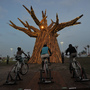 South Africans light up a Baobab tree by riding bikes in Durban as part of a renewable energies display on the beach front during the United Nations Climate Change Conference.