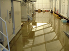 This handout picture, taken by Tokyo Electric Power Co (TEPCO) shows radioactive water on the floor inside the building of a water treatment facility at TEPCO's Fukushima Daiichi nuclear plant. This handout picture, taken by Tokyo Electric Power Co (TEPCO) shows radioactive water on the floor inside the building of a water treatment facility at TEPCO's Fukushima Daiichi nuclear plant.