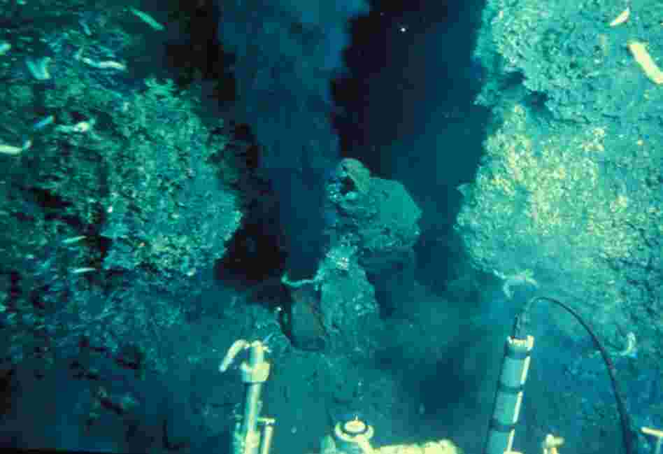 Crane and her team were the first humans to see undersea vents. The vents, which pump hot water and chemicals like hydrogen sulfide into the sea, warmed the nearby waters to spalike temperatures. 