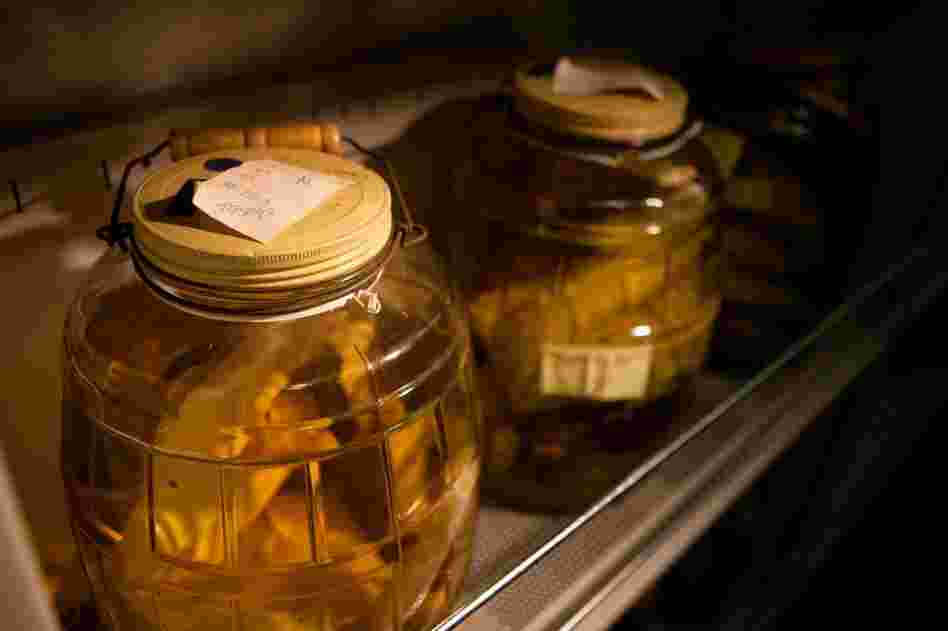 The worms were initially preserved onboard the boat in vodka — it was the only preservative the scientists had, Crane says, because they weren't expecting to find life on the seafloor. Today, specimens of the worms are kept in jars of formaldehyde at the Smithsonian Institution near Washington, D.C. 