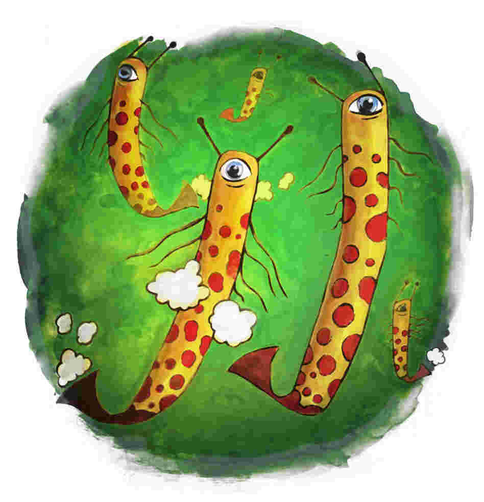 Methanogens Illustration