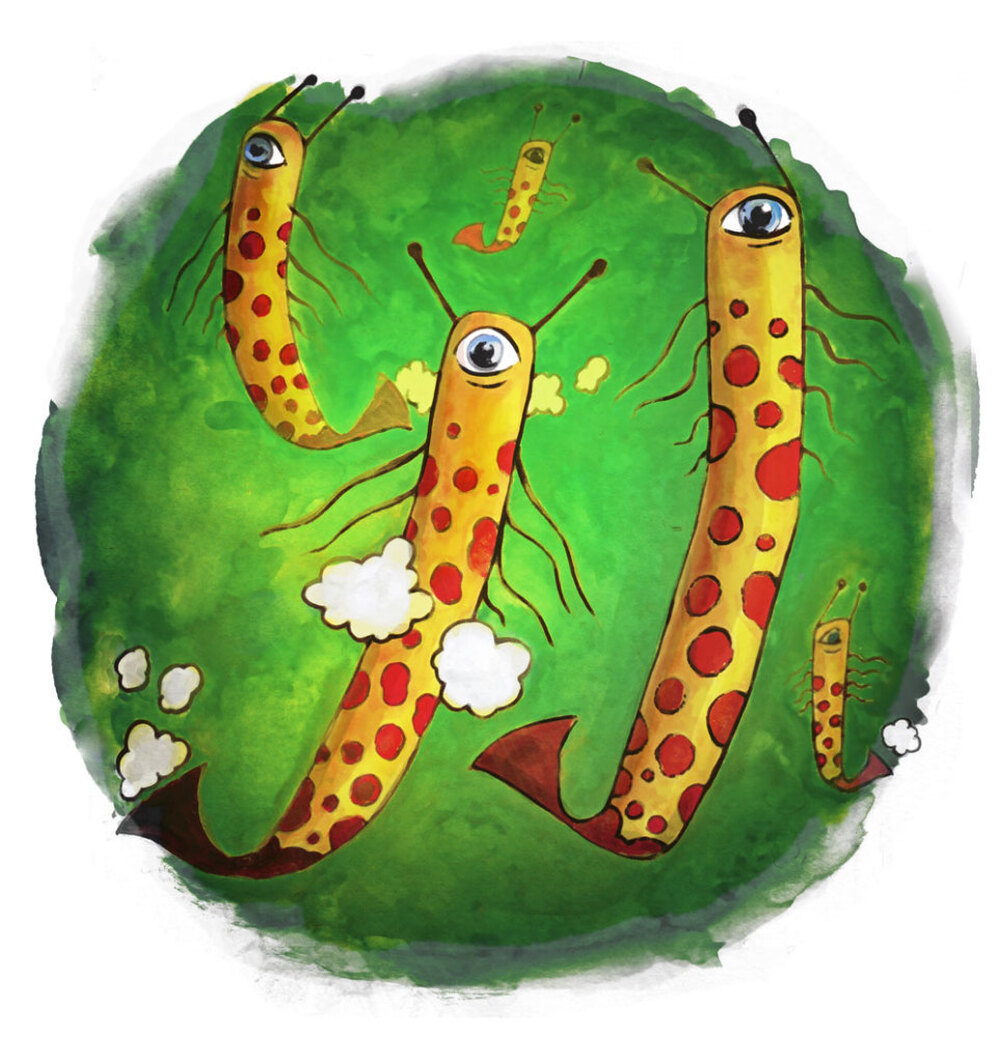Methanogens Illustration