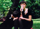 Elegies Promo Elegies Promo
