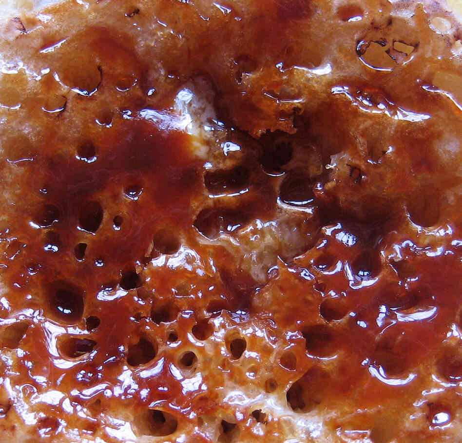 Marmite on crumpet. Marmite on crumpet.