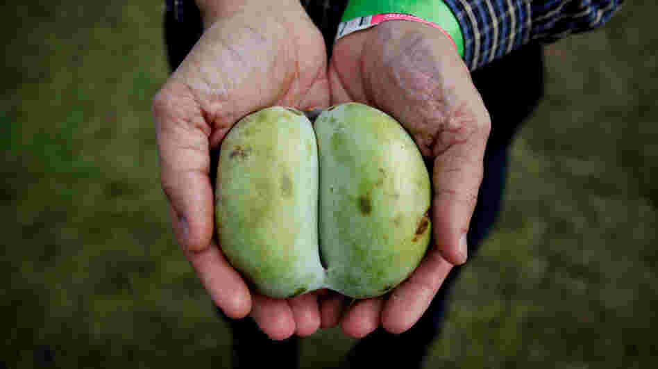 This year saw more people interested in foraging for fruit like the pawpaw, which looks like a mango, but is native to North America.