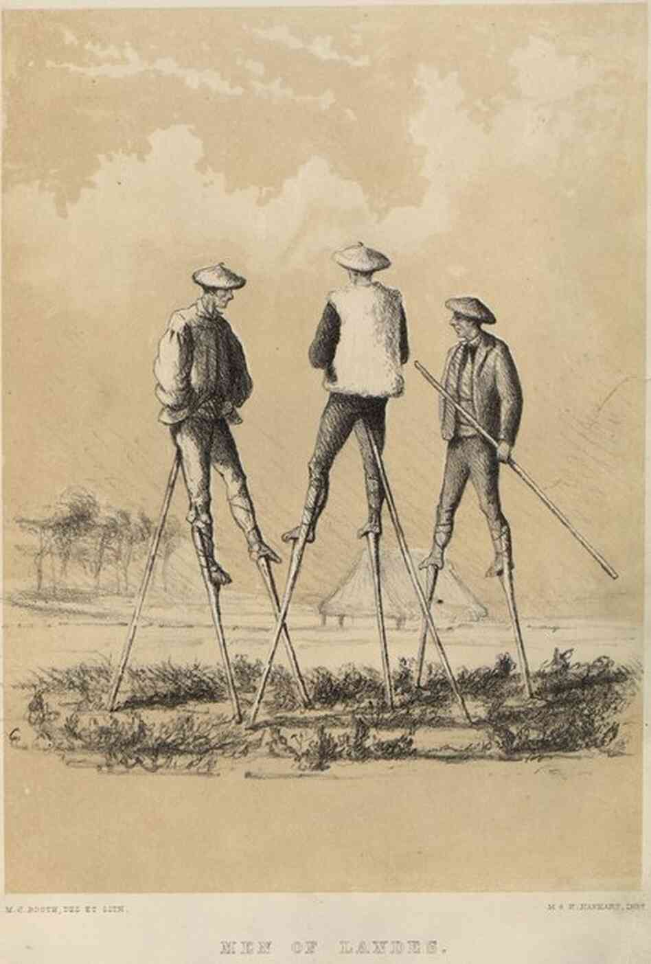 An illustration, circa 1800, shows men in Landes, France, walking on stilts to protect their feet from the marshy ground. 