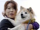 Pusuke and his human, Yumiko Shinohara, in December 2010. Pusuke and his human, Yumiko Shinohara, in December 2010.