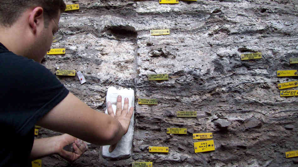 Christopher Miller samples sediments from an excavation site in South Africa. Archaeologists found layers upon layers of burned bedding material, indicating that the hunter-gatherers who lived here 77,000 years ago stayed for a long time.