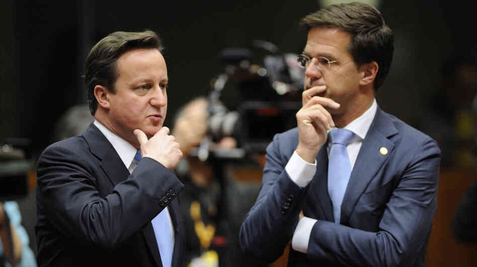 Britain Prime Minister David Cameron (left) and Netherlands Prime Minister Mark Rutte  earlier today at the summit in Brussels. 