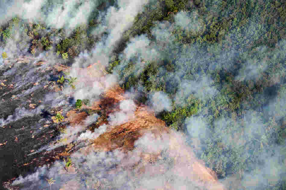 Deforestation and forest fires are responsible for 75 percent of the carbon dioxide emissions in Brazil. Above, smoke from a fire on livestock pastures in Brazil's Mato Grosso state breaks into the forest, September 2009.