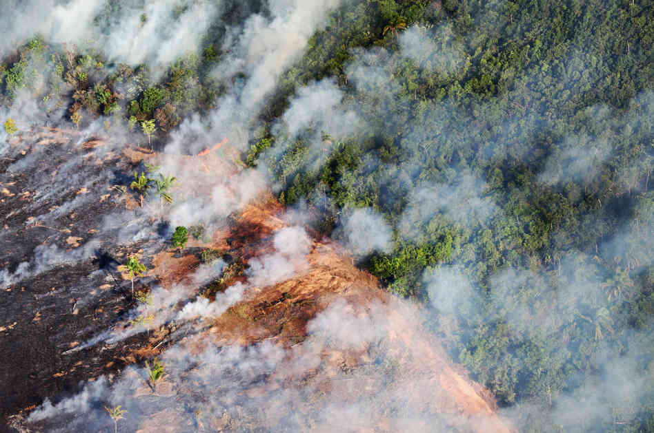 Deforestation and forest fires are responsible for 75 percent of the carbon dioxide emissions in Brazil. Above, smoke from a fire on livestock pastures in Brazil's Mato Grosso state breaks into the forest, September 2009.
