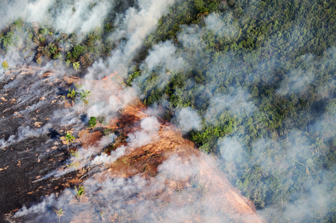 Deforestation and forest fires are responsible for 75 percent of the carbon dioxide emissions in Brazil. Above, smoke from a fire on livestock pastures in Brazil's Mato Grosso state breaks into the forest, September 2009.