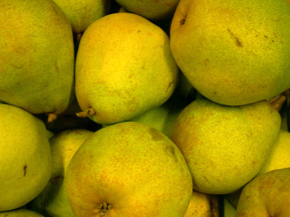Comice pears are super-yummy, but not approved for schookids.
