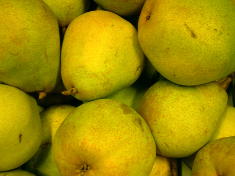 Comice pears are super-yummy, but not approved for schookids. Comice pears are super-yummy, but not approved for schookids.