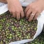 Olives