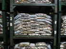 Dollar coins gathering dust in the Fed's Baltimore brach. Dollar coins gathering dust in the Fed's Baltimore brach.