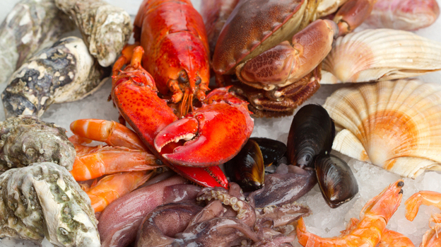 There is no set menu for the southern Italian Christmas Eve tradition called the Feast of the Seven Fishes â and no one seems to know why there are seven. Stumped about what to make for your own feast? Here, a dish for stuffed squid submitted as part of this series on holiday food traditions. 