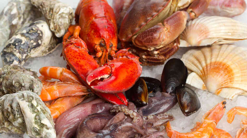 There is no set menu for the southern Italian Christmas Eve tradition called the Feast of the Seven Fishes â and no one seems to know why there are seven. Stumped about what to make for your own feast? Here, a dish for stuffed squid submitted as part of this series on holiday food traditions. 