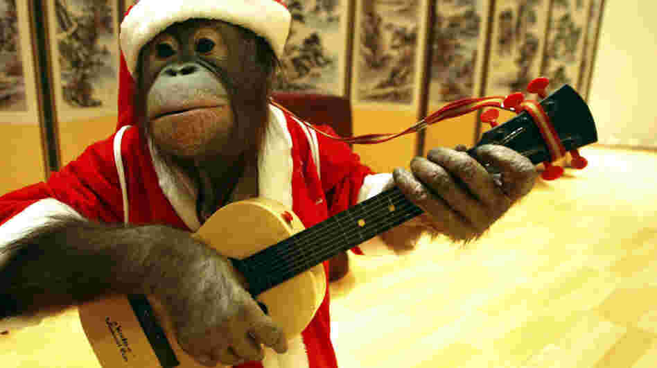 Every song on this mix is performed by monkeys. Every. Last. One.