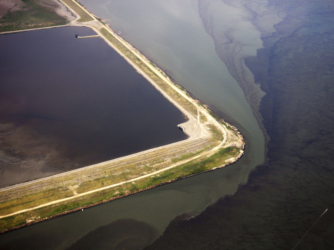 Algae blooms in the mouth of the Elizabeth River in Norfolk, Va., on July 31, 2010. Rain, high temperatures, and pollution from agricultural runoff made for ideal algae bloom conditions.
