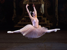 Jenifer Ringer performs as the Sugarplum Fairy during a 2010 performance of "The Nutcracker" at Lincoln Center in New York. Jenifer Ringer performs as the Sugarplum Fairy during a 2010 performance of "The Nutcracker" at Lincoln Center in New York.