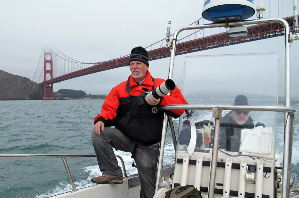 Bill Keener (left) and Jonathan Stern search for porpoises under the Golden Gate Bridge. Water quality has dramatically improved since the 1970s, which may be bringing the porpoises back. Bill Keener (left) and Jonathan Stern search for porpoises under the Golden Gate Bridge. Water quality has dramatically improved since the 1970s, which may be bringing the porpoises back.