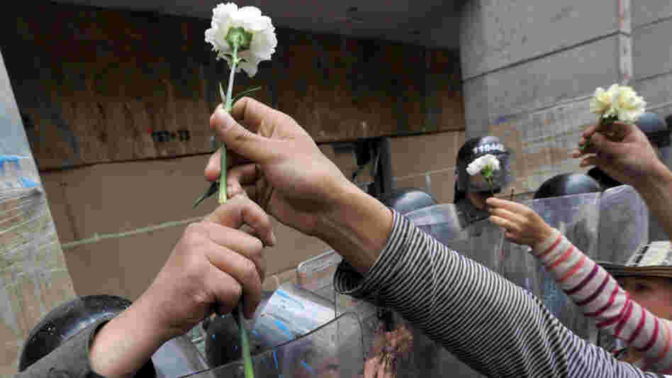 Students give carnations to riot police at Bogota's main square Plaza de Bolivar during a Nov. 10, 2011 demonstration against an education reform bill.