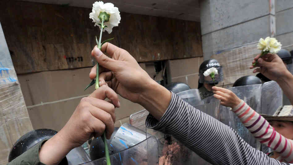 Students give carnations to riot police at Bogota's main square Plaza de Bolivar during a Nov. 10, 2011 demonstration against an education reform bill.