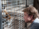 Matt Damon gets up close and personal with one of his new four-legged family members in We Bought A Zoo. Matt Damon gets up close and personal with one of his new four-legged family members in We Bought A Zoo.