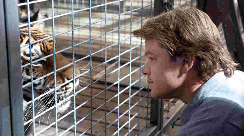 Matt Damon gets up close and personal with one of his new four-legged family members in We Bought A Zoo. Matt Damon gets up close and personal with one of his new four-legged family members in We Bought A Zoo.