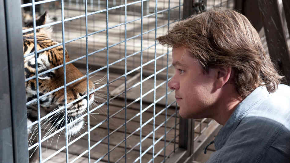 Matt Damon gets up close and personal with one of his new four-legged family members in We Bought A Zoo. Matt Damon gets up close and personal with one of his new four-legged family members in We Bought A Zoo.