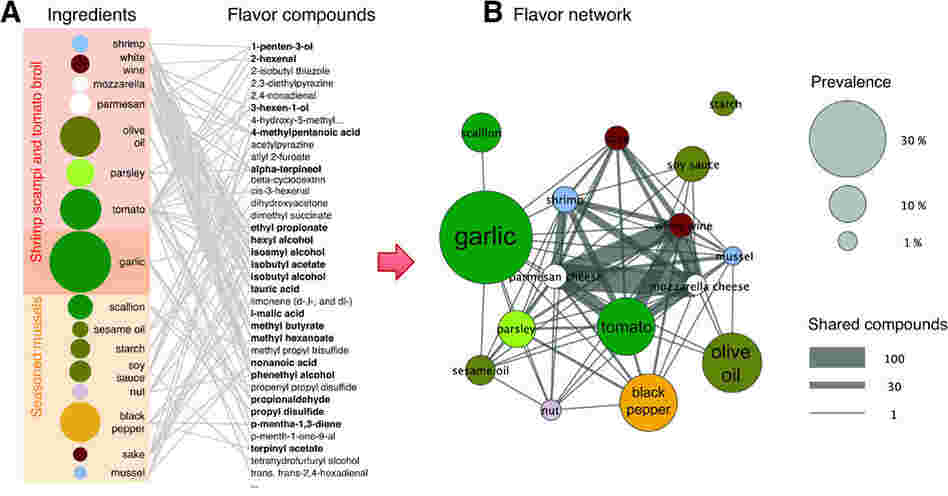 A lists the ingredients in two recipes, together with their flavor compounds. Each flavor compound is linked to the ingredients that contain it, forming a network. B shows the flavor network, whose nodes are ingredients, linked if they share at least one flavor compound. A lists the ingredients in two recipes, together with their flavor compounds. Each flavor compound is linked to the ingredients that contain it, forming a network. B shows the flavor network, whose nodes are ingredients, linked if they share at least one flavor compound.