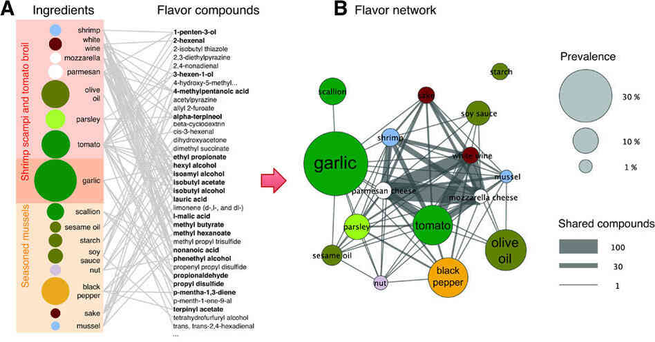 A lists the ingredients in two recipes, together with their flavor compounds. Each flavor compound is linked to the ingredients that contain it, forming a network. B shows the flavor network, whose nodes are ingredients, linked if they share at least one flavor compound. A lists the ingredients in two recipes, together with their flavor compounds. Each flavor compound is linked to the ingredients that contain it, forming a network. B shows the flavor network, whose nodes are ingredients, linked if they share at least one flavor compound.