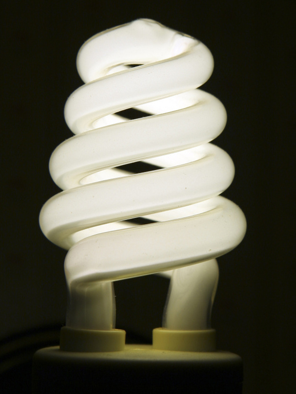 The National Electrical Manufacturers Association says compact fluorescent bulbs like this are significantly more efficient than incandescent bulbs.