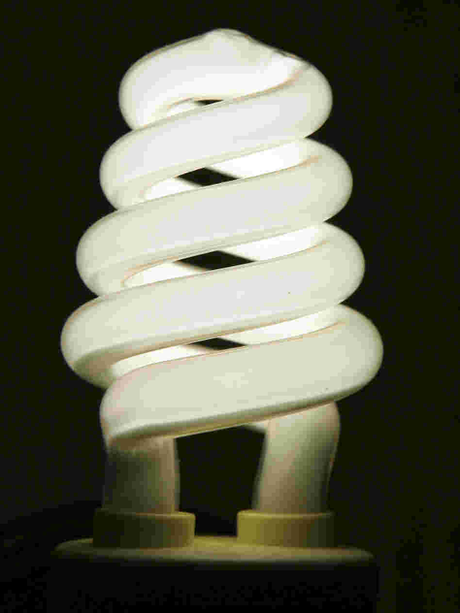 The National Electrical Manufacturers Association says compact fluorescent bulbs like this are significantly more efficient than incandescent bulbs.