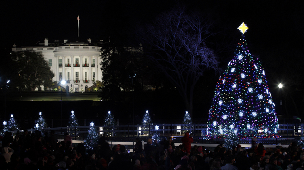 The 2011 national Christmas tree is a 26-foot Colorado blue spruce. It was planted just this year after a windstorm blew down the last tree.