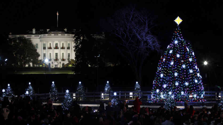 The 2011 national Christmas tree is a 26-foot Colorado blue spruce. It was planted just this year after a windstorm blew down the last tree.
