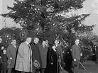 President Calvin Coolidge (right) with the national Christmas tree on Dec. 24, 1923. President Calvin Coolidge (right) with the national Christmas tree on Dec. 24, 1923.