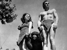 1932 scene from Tarzan the Ape Man: Johnny Weissmuller, right, as Tarzan, Maureen O'Sullivan as Jane, and one of the chimps who played Cheetah. 1932 scene from Tarzan the Ape Man: Johnny Weissmuller, right, as Tarzan, Maureen O'Sullivan as Jane, and one of the chimps who played Cheetah.