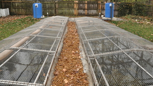 Two outdoor raceways, or artificial streams, are home to 16 adult Ozark hellbenders at the Saint Louis Zoo. The screens keep the hellbenders in –- and unwanted predators like raccoons out. Two outdoor raceways, or artificial streams, are home to 16 adult Ozark hellbenders at the Saint Louis Zoo. The screens keep the hellbenders in –- and unwanted predators like raccoons out.