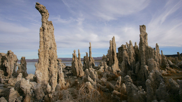 Researchers claimed in late 2010 that they found bacteria in Mono Lake, Calif., that survived on the poison arsenic in the place of an element thought essential to life. The report was immediately greeted with skepticism from the scientific community. Researchers claimed in late 2010 that they found bacteria in Mono Lake, Calif., that survived on the poison arsenic in the place of an element thought essential to life. The report was immediately greeted with skepticism from the scientific community.